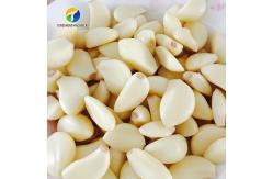 China 2.2KW Garlic Processing Machine Skin Removing Garlic Peeler supplier