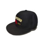 Ace 6 Panel Flat Brim Custom Embroidery Logo Caps Sanpback Cap Unisex Hats Bsci for sale