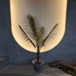 Realistic Looking Artificial Palm Tree Hypoallergenic and Insect Resistant for sale