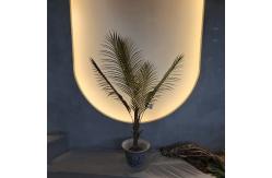 China Realistic Looking Artificial Palm Tree Hypoallergenic and Insect Resistant supplier