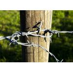 Rust Resistance Double Strand Reverse Twist  Stainless Steel Barbed Wire for sale