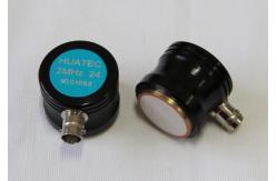 China Dual Element Phased Array Probes For Ultrasonic Inspection Equipment ISO CE supplier