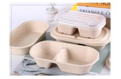 China Disposable Tableware Sugarcane Pulp Bamboo Pulp Bowl 100% Degradable supplier