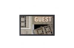 China BM6044LB1-2 6.0 inch lcd screen panel display supplier