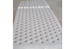 China PVC PE PP Perforated Plastic Plate / Panel / Sheet For Ceiling supplier