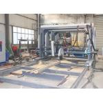 Twin Circular Blade Sawmill With Fully Automatic CNC Controls For Woodworking