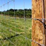 High Tensile Fixed Knot Fence Grassland Deer Farm Hot Dipped Galvanized for sale