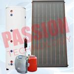 Thermosyphon Solar Water Heater For Hot Water Heating 25mm Hail Resistance for sale