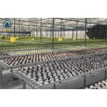 Smart NFT Hydroponic Growing System Plant Growth Commercial And Indoor Garden Kit for sale