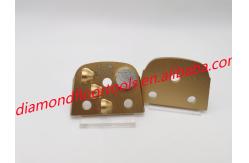 China Diamond Segment Lavina PCD Concrete Floor Coating Grinding Pad supplier