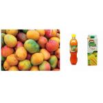 Carton Box Packing Mango Juice Processing Line With Film And Cutting Function for sale