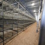 Modern HDG Chicken Egg Layer Cages 0.40m2 Space 9birds/Cage Farming for sale
