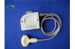 China Siemens C6-2 Convex Array Transducer Probe/Ultrasound Scan Probe supplier