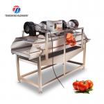 OEM Potatoes Orange Fruit Drying Machine Leafy Vegetables Vibrating Air Dryer for sale