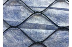 China Rust Resistant Aviary Wire Netting , Black Oxide Stainless Steel Bird Wire Mesh supplier