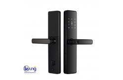 China Zinc Alloy Tuya Digital Door Lock Remote Control Intelligent Lock Tuya supplier