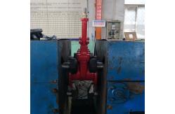 China Fire Fighting Foam Concentrate manufacturer