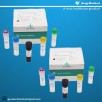 Monkeypox Virus(MPV) Nucleic Acid Detection Kit Fast Test Home Kit Real Time PCR Kit