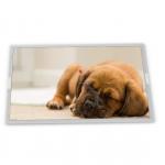 H499TAN01.1 AUO 5 Inch TFT-LCD Display Modules Screen Panel for sale