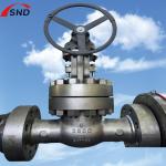 6 Inch 5A-2500 Class Dual Stainless Steel Gate Valve Middle Bolt Design for sale