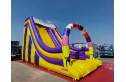 China Playground Jumping Inflatable Slide Bouncer For Birthday Party supplier