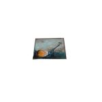 MV238FHM-NX3 23.8 Inch Original 1920*1080 LCD Screen Display for sale