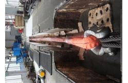 China Lifting Chain Sling manufacturer