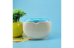 China 800g Capacity Plastic Empty Laundry Powder Storage Box supplier