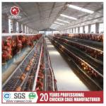 Customized Multi Layer Poultry Cage Automatic Egg Collection Cages for sale