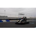 Kids Adults 50Ah Racing Electric Powered Go Kart Belt Differential Drive 80km/h for sale