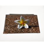 BOE Vertical Stripe 15.6 lcd panel NV156FHM-N31 1920*1080 LCD Laptop Screen for sale