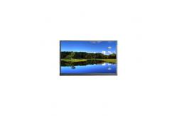 China 17.3 inch 1920*1080 60Hz P1730FHF1MA10 TFT Lcd screen supplier