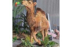 China Artificial Realistic Animatronic Animals Customized Size Camel Controlled Remotely supplier
