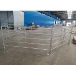 1.6m Height Hot Dipped Galvanized Cattle Panel For Horse Farm for sale