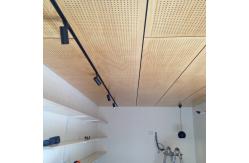 China Metal Aluminium Perforated Ceiling Tiles Decorative Wpc Cladding Panel supplier