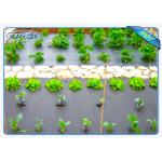 Eco-Friendly 30gsm Black Color Agriculture Non Woven Cover For Vegetables for sale