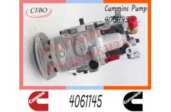 China Cummins Diesel KTA19-M3 Engine Fuel Injection Pump 4061145 4061182 4061206 4061228 supplier