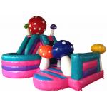 Multi - Play PVC Fabric Inflatable Fun City Mushroom Bounce House 6x4m for sale