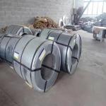Insulating Coating Cold Rolled Grain Oriented Steel for High Magnetic Flux Density 1.7-1.9T within Market for sale