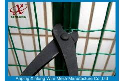 China Custom Euro Panel Fencing , Galvanized Welded Wire Mesh Rolls Anti Thief supplier