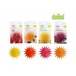 Scented Starfish Hanging Car Freshener Perfume with Stick in Car Home Windows for sale
