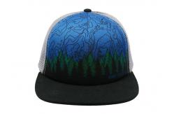 China 5 panels adult male man flat peak bule printing trucker mesh hat supplier