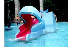 China Kids Mini Pool Slide Whale Frog Shaped Fibreglass Swimming Pool Slide supplier