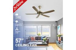China 57 Inch Farmhouse Low Profile Dc Motor Ceiling Fan With Remote Control supplier