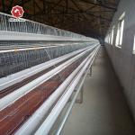 Egg Laying Chicken Cage With Full Automatic System