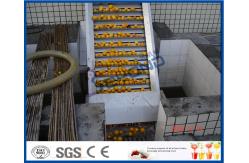 China Energy Saving Orange Processing Line with Glass / PET Bottle Filling Machine supplier