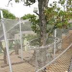 Flexible Stainless Steel Rope Mesh / Wire Rope Net For Bird Aviary for sale