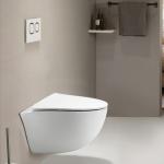 Special Shapes Wall Hung Toilet With Hidden Water Tank And Single Hole for sale