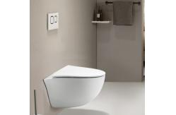 China Special Shapes Wall Hung Toilet With Hidden Water Tank And Single Hole supplier