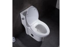 China Elongated Skirted Siphonic One Piece Toilet Comfort Height Round Flushing supplier